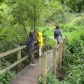 On the bridge in the woods, The Quest for Rapsy Tapsy Lane, Eye, Suffolk - 6th May 2020