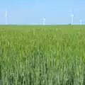 The wind turbines and a field of barley, A Walk up Rapsy Tapsy Lane, Eye, Suffolk - 9th May 2020