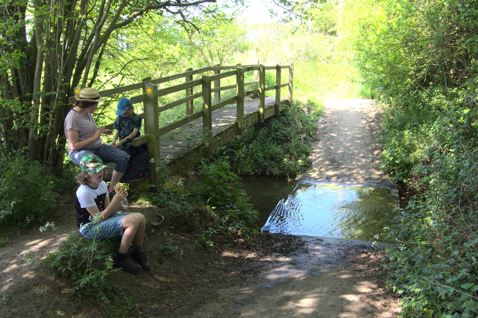 We make it to the bridge over the stream from A Walk up Rapsy Tapsy Lane, Eye, Suffolk - 9th May 2020