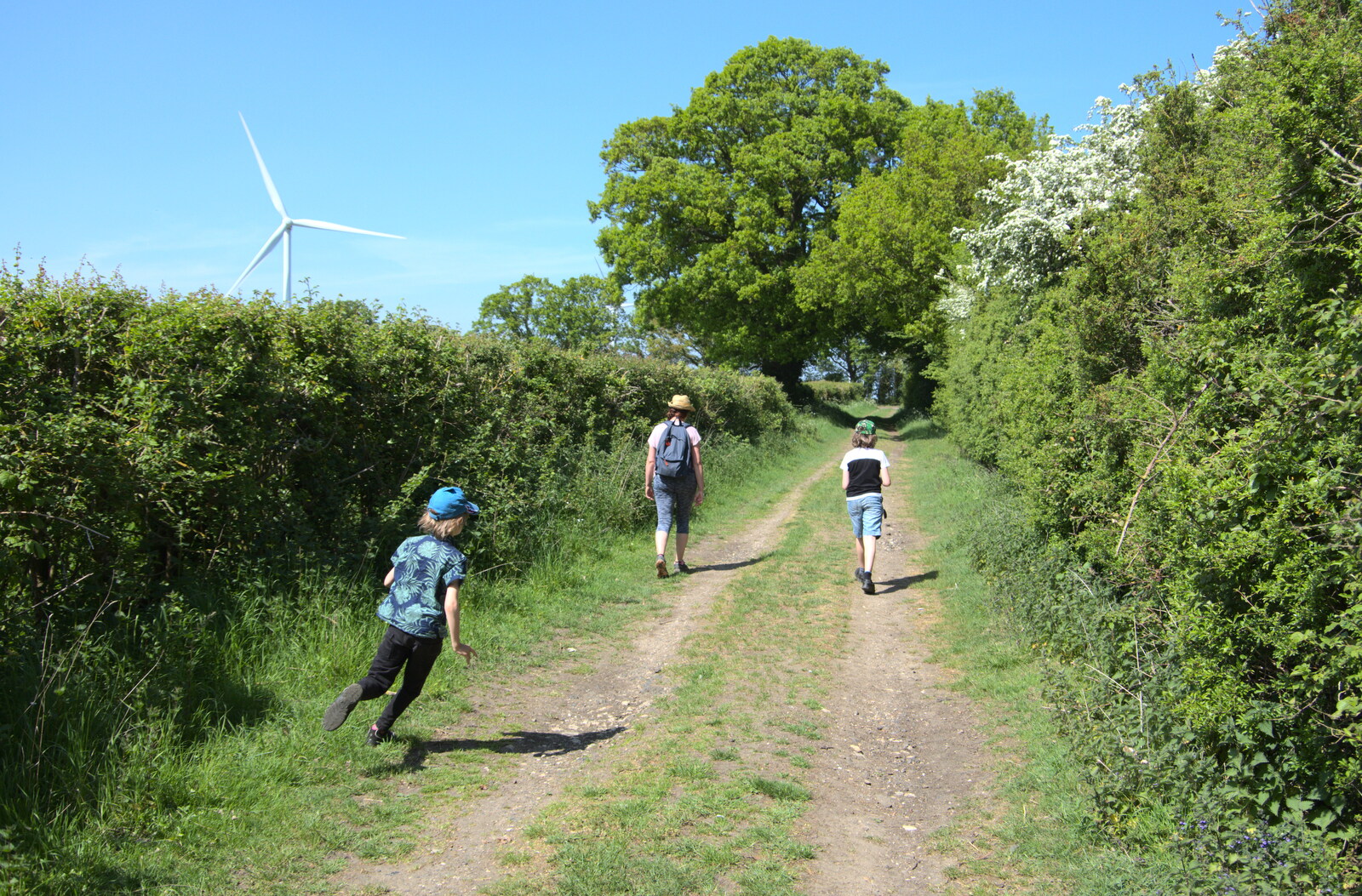 Harry runs back and forth from A Walk up Rapsy Tapsy Lane, Eye, Suffolk - 9th May 2020
