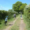 Harry runs back and forth, A Walk up Rapsy Tapsy Lane, Eye, Suffolk - 9th May 2020