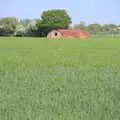 The WWII fuse hut again, A Walk up Rapsy Tapsy Lane, Eye, Suffolk - 9th May 2020