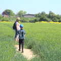 We walk the tractor lines across a field, A Walk up Rapsy Tapsy Lane, Eye, Suffolk - 9th May 2020