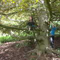 The boys find a new climbey-tree in the Oaksmere, More Lockdown Fun, Diss and Eye, Norfolk and Suffolk - 30th May 2020