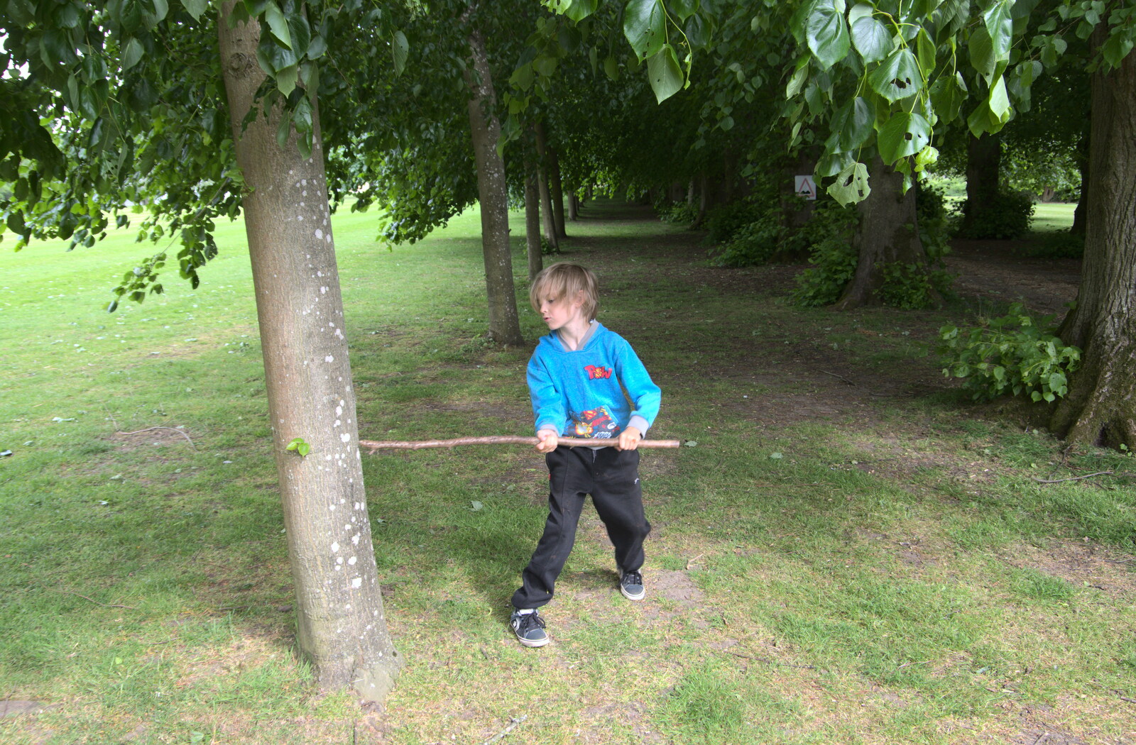 Harry whacks a tree, Ninja-style from More Lockdown Fun, Diss and Eye, Norfolk and Suffolk - 30th May 2020