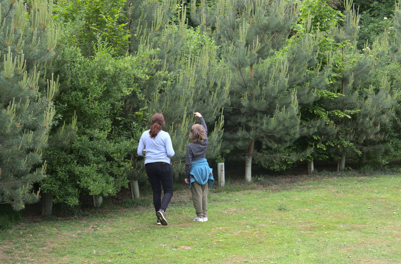 Isobel and Fred are off looking at curious trees from More Lockdown Fun, Diss and Eye, Norfolk and Suffolk - 30th May 2020