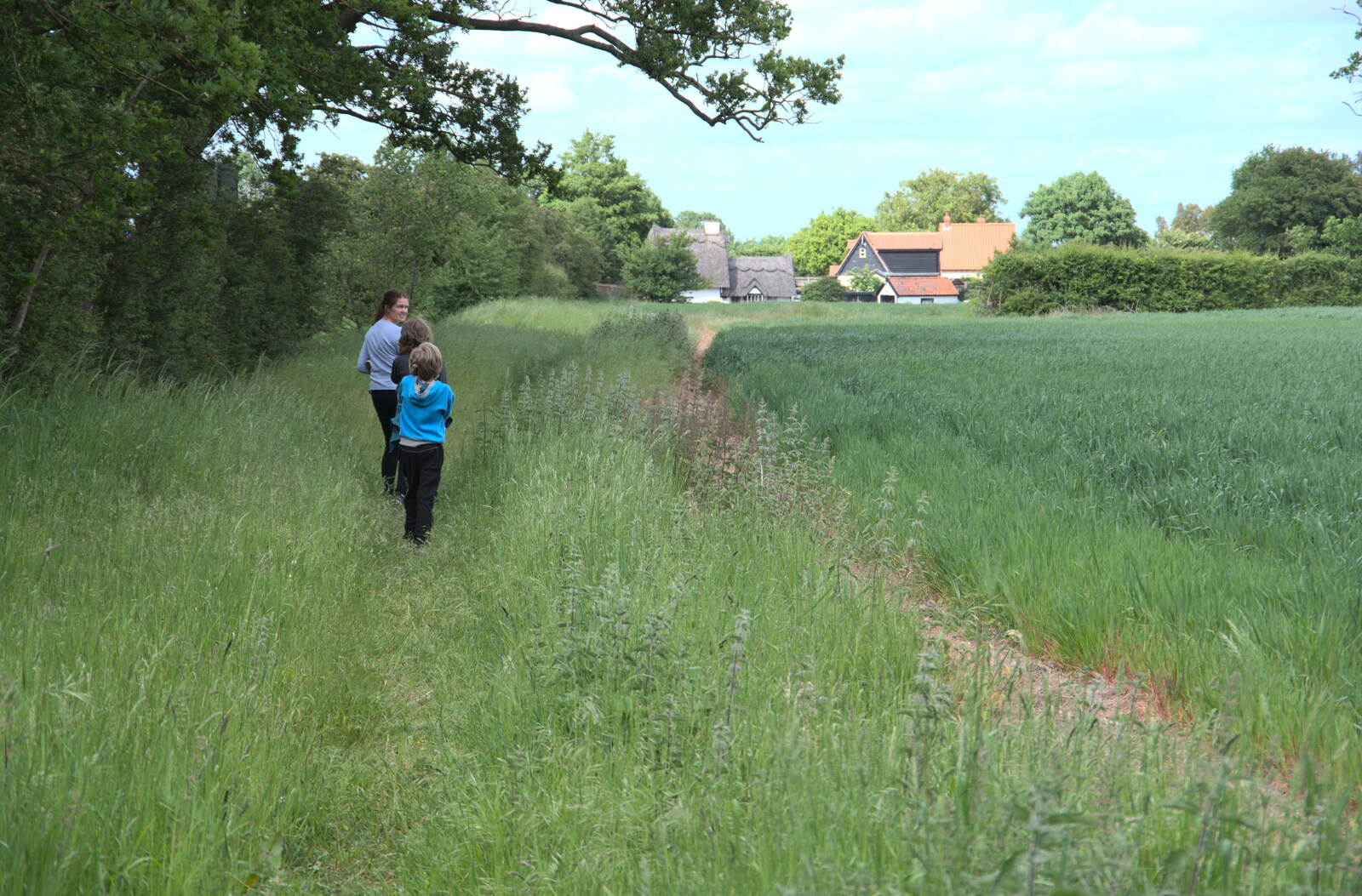 We walk around the fields up the side of the A140 from More Lockdown Fun, Diss and Eye, Norfolk and Suffolk - 30th May 2020