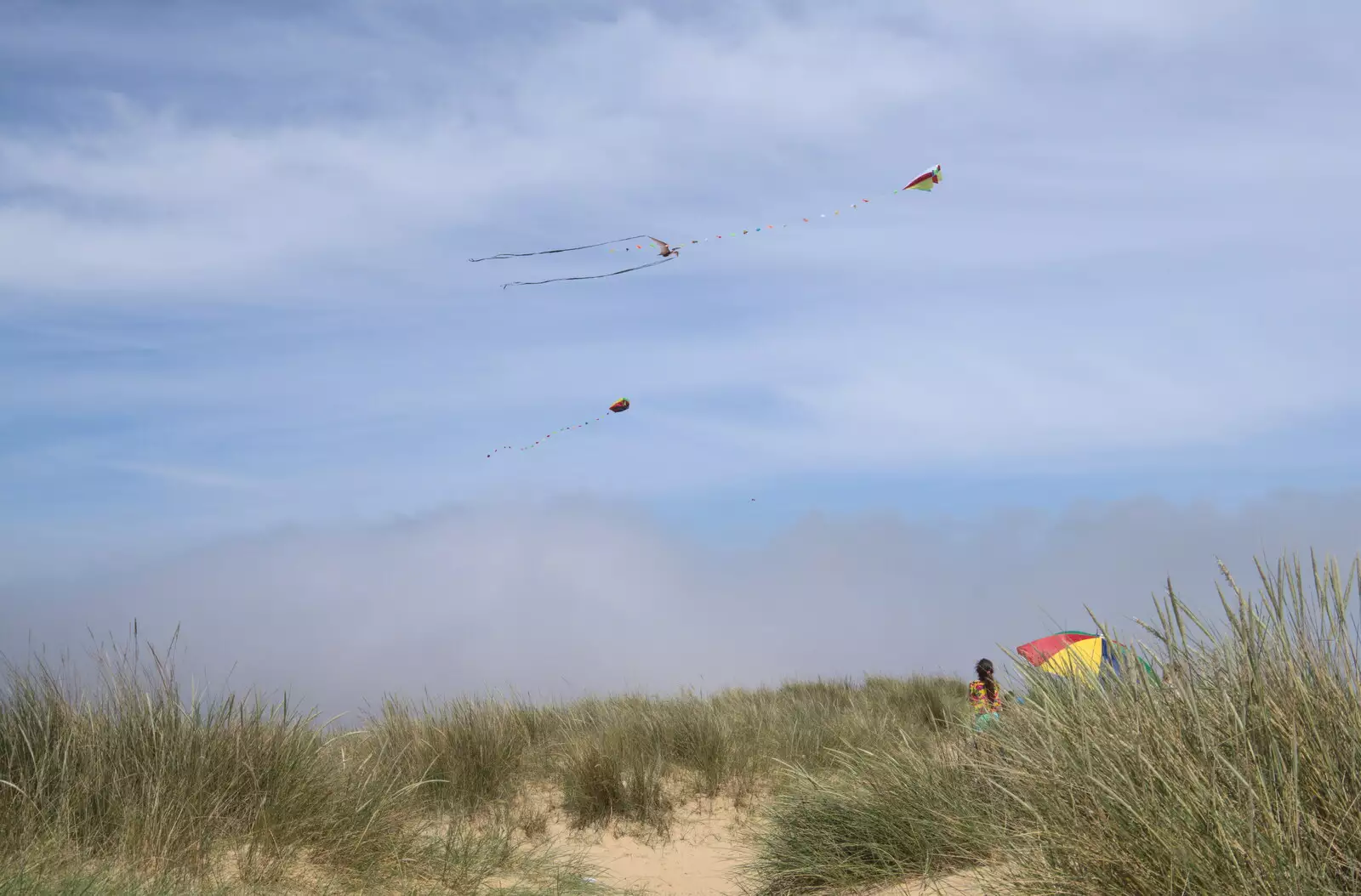 Kites in the dunes, from A Return to Southwold, Suffolk - 14th June 2020