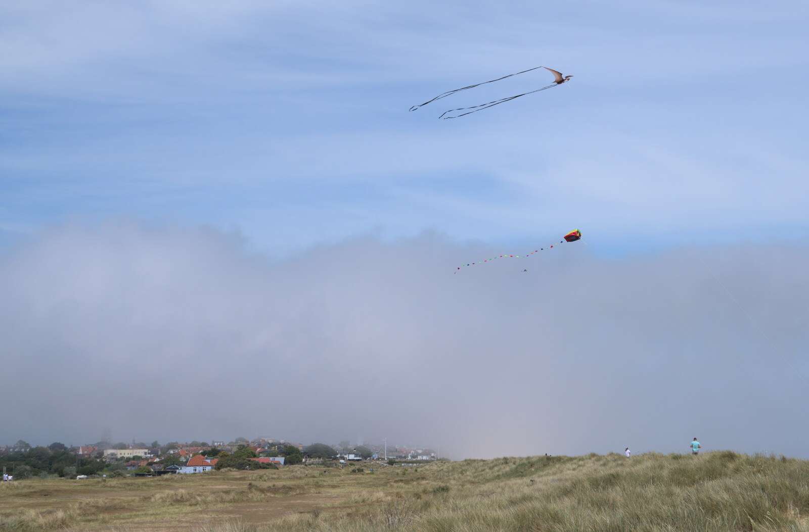 Kites fly above a wall of sea mist from A Return to Southwold, Suffolk - 14th June 2020