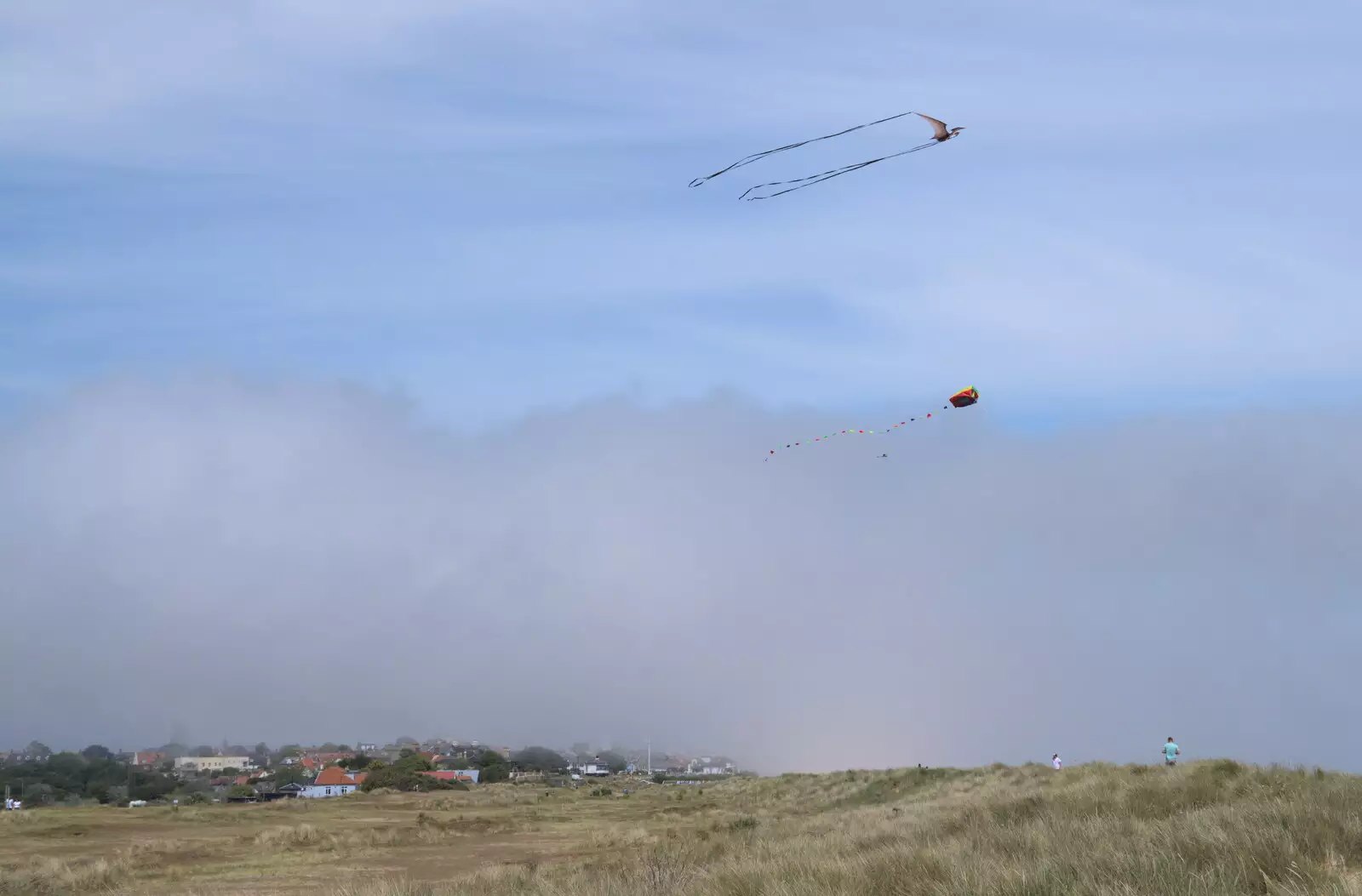 Kites fly above a wall of sea mist, from A Return to Southwold, Suffolk - 14th June 2020