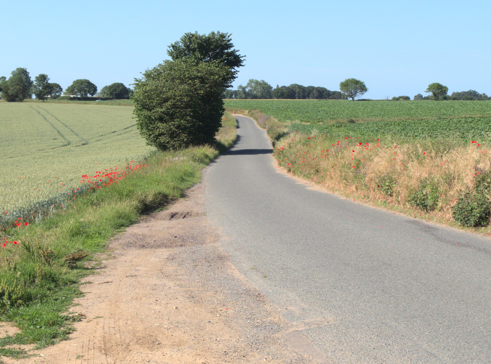 The back road from Hoxne to Eye from Lockdown Bike Rides and an Anniversary Picnic, Mellis and Brome, Suffolk - 3rd July 2020