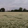 Lockdown Bike Rides and an Anniversary Picnic, Mellis and Brome, Suffolk - 3rd July 2020, A field of chamomile at night
