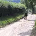 Fred walks up a steep hill, Camping on the Coast, East Runton, North Norfolk - 25th July 2020