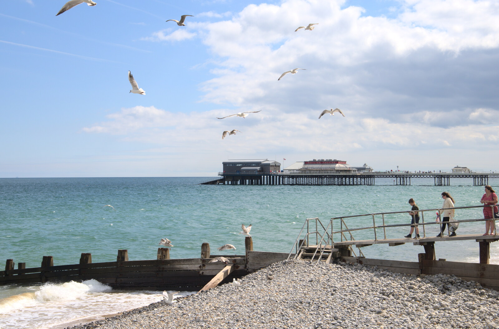 Seagulls whirl over Cromer pier from Camping on the Coast, East Runton, North Norfolk - 25th July 2020