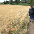 Skirting round a barley field, Camping on the Coast, East Runton, North Norfolk - 25th July 2020