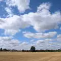 The back field has been harvested overnight, Closed-Down Shops, Hedgehogs and Chamomile, Brome and Diss - 2nd August 2020