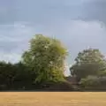 The trees across the side field, Closed-Down Shops, Hedgehogs and Chamomile, Brome and Diss - 2nd August 2020