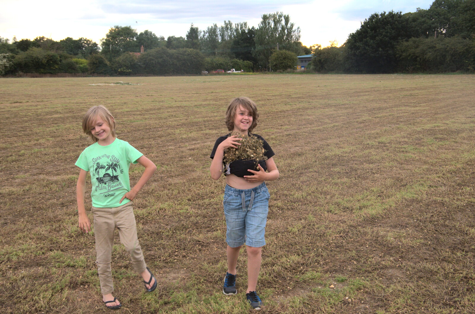 The boys collect some of the left-over chamomile from Closed-Down Shops, Hedgehogs and Chamomile, Brome and Diss - 2nd August 2020