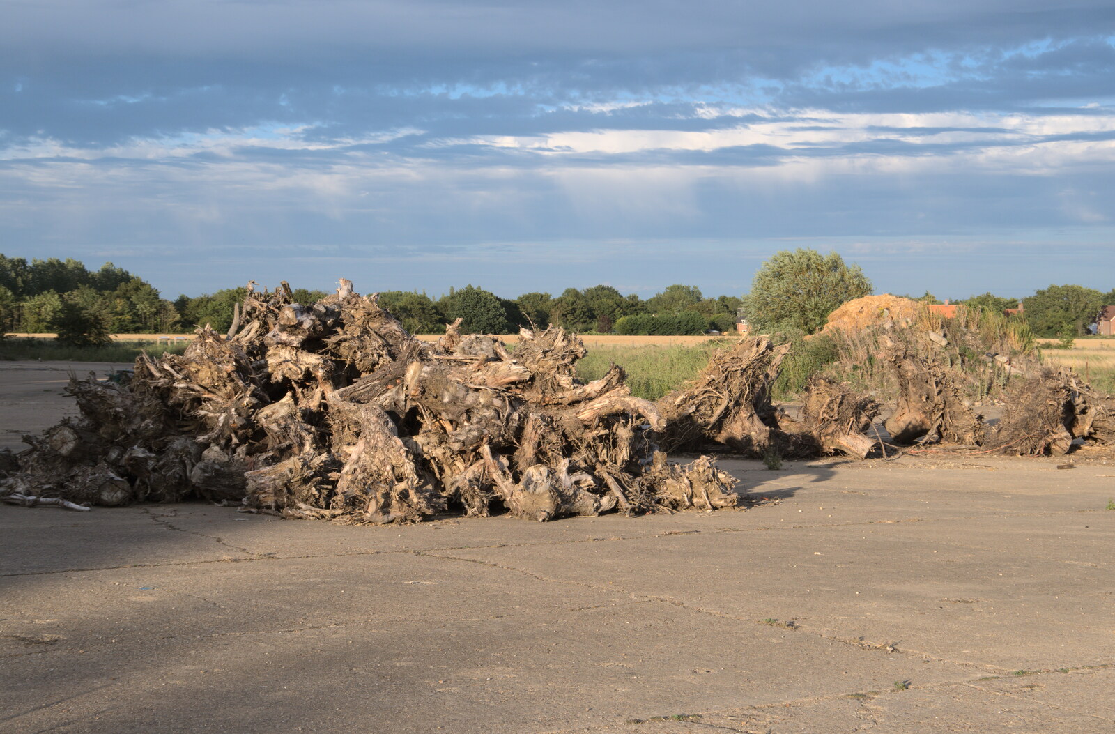 A big pile of tree stumps from Eye Airfield with Mick the Brick, Eye, Suffolk - 5th August 2020