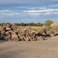 A big pile of tree stumps, Eye Airfield with Mick the Brick, Eye, Suffolk - 5th August 2020