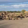 A big pile of tree stumps, Eye Airfield with Mick the Brick, Eye, Suffolk - 5th August 2020