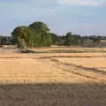 Looking over to the old fuse store, Eye Airfield with Mick the Brick, Eye, Suffolk - 5th August 2020