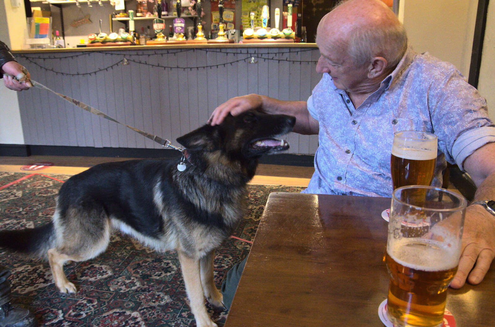 Stefan's dog says hello to Mick from Eye Airfield with Mick the Brick, Eye, Suffolk - 5th August 2020
