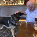 Stefan's dog says hello to Mick, Eye Airfield with Mick the Brick, Eye, Suffolk - 5th August 2020