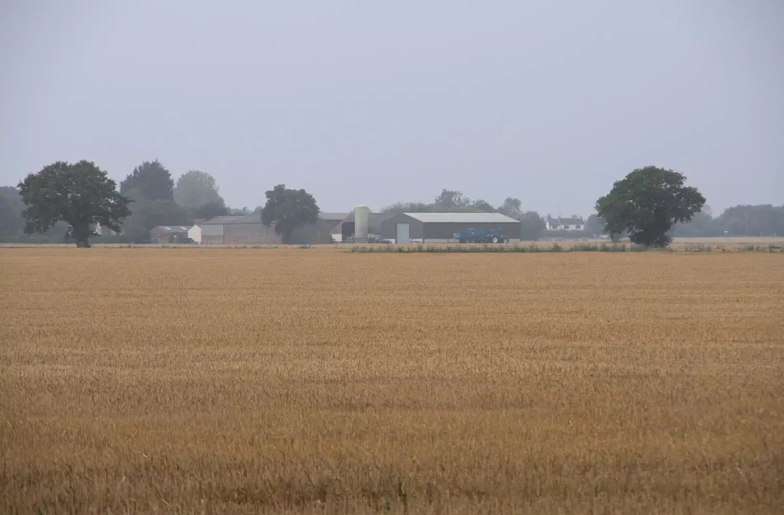 The wheat fields of Norfolk, from Jules Visits, and a Trip to Tyrrel's Wood, Pulham Market, Norfolk - 16th August 2020