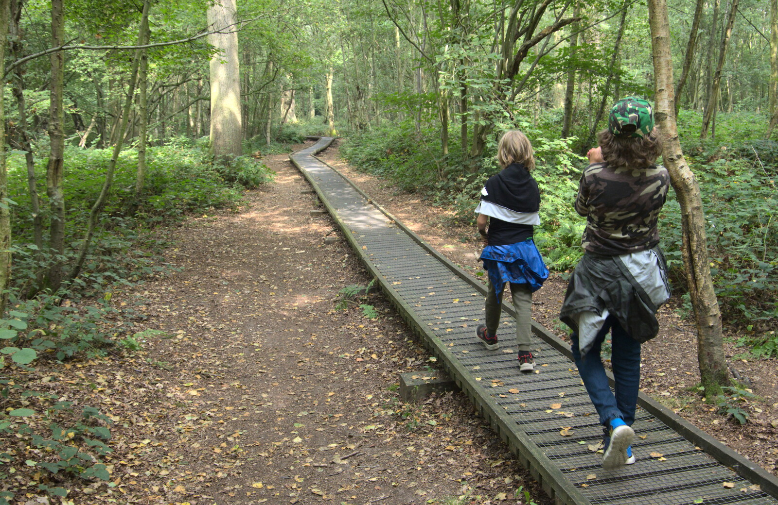 The boys on the boardwalk from Jules Visits, and a Trip to Tyrrel's Wood, Pulham Market, Norfolk - 16th August 2020