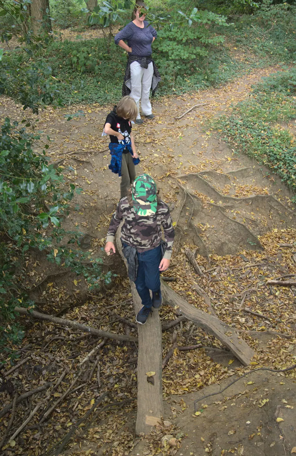 On a tree-trunk bridge, from Jules Visits, and a Trip to Tyrrel's Wood, Pulham Market, Norfolk - 16th August 2020