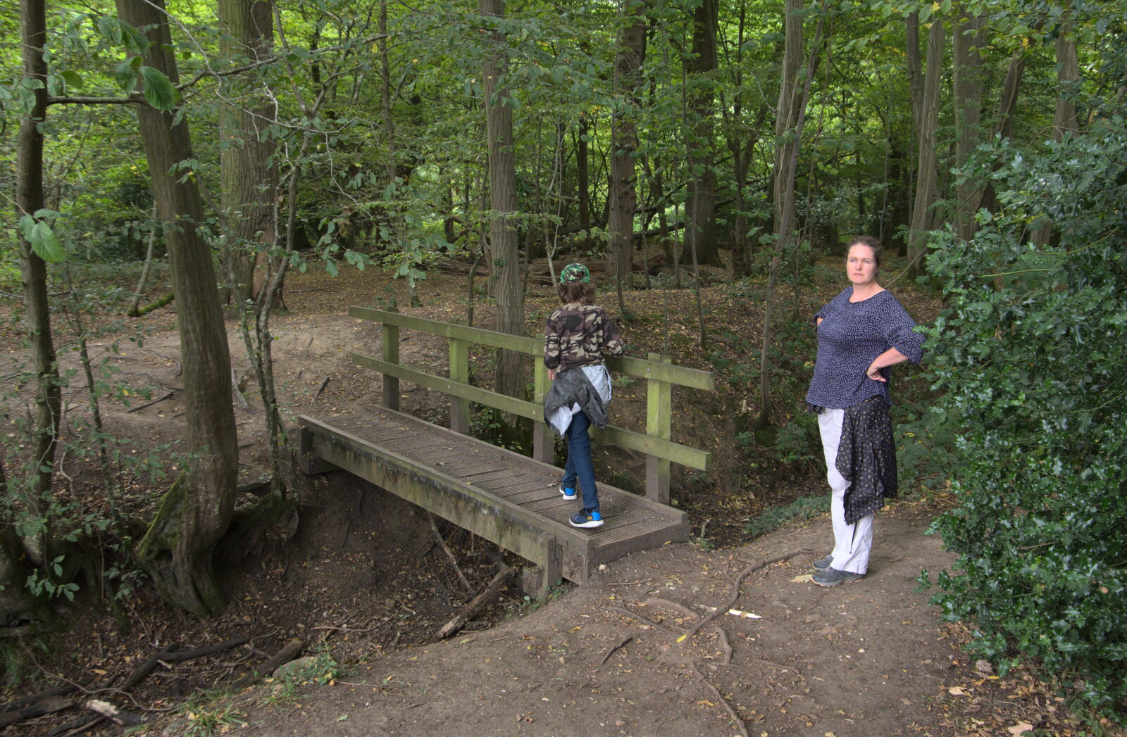 Fred on a small bridge from Jules Visits, and a Trip to Tyrrel's Wood, Pulham Market, Norfolk - 16th August 2020