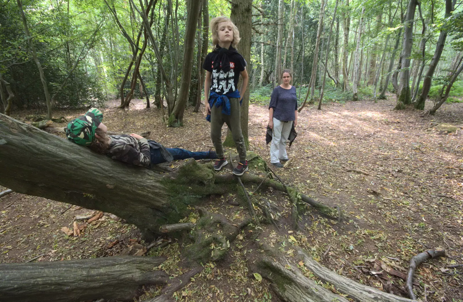 Harry looks around, from Jules Visits, and a Trip to Tyrrel's Wood, Pulham Market, Norfolk - 16th August 2020