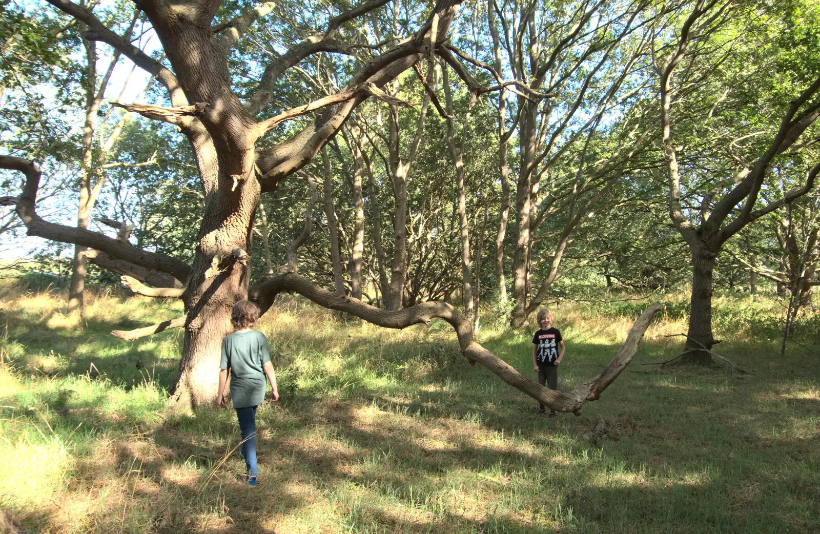 The boys find a tree with a nice low bouncy branch, from A Sail Fitting, Billingford Windmill, Billingford, Norfolk - 20th August 2020