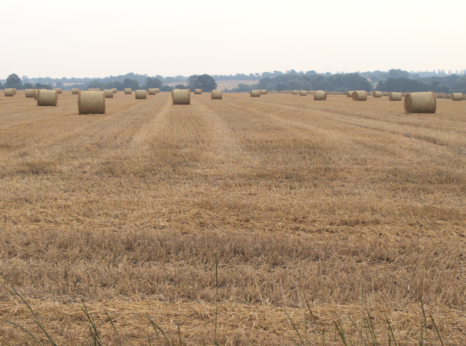 Round bales at Braisworth from More Bike Rides, and Marc's Birthday, Brome, Suffolk - 21st August 2020