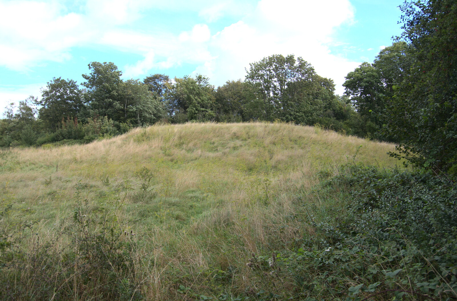 A tumulus in the woods from Stone Circles: Stonehenge and Avebury, Wiltshire - 22nd August 2020