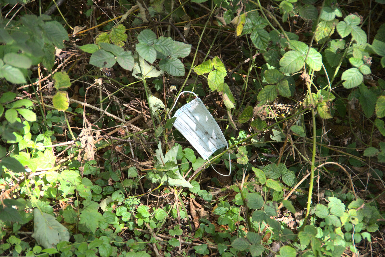 The new Covid waste: a discarded face mask from Stone Circles: Stonehenge and Avebury, Wiltshire - 22nd August 2020