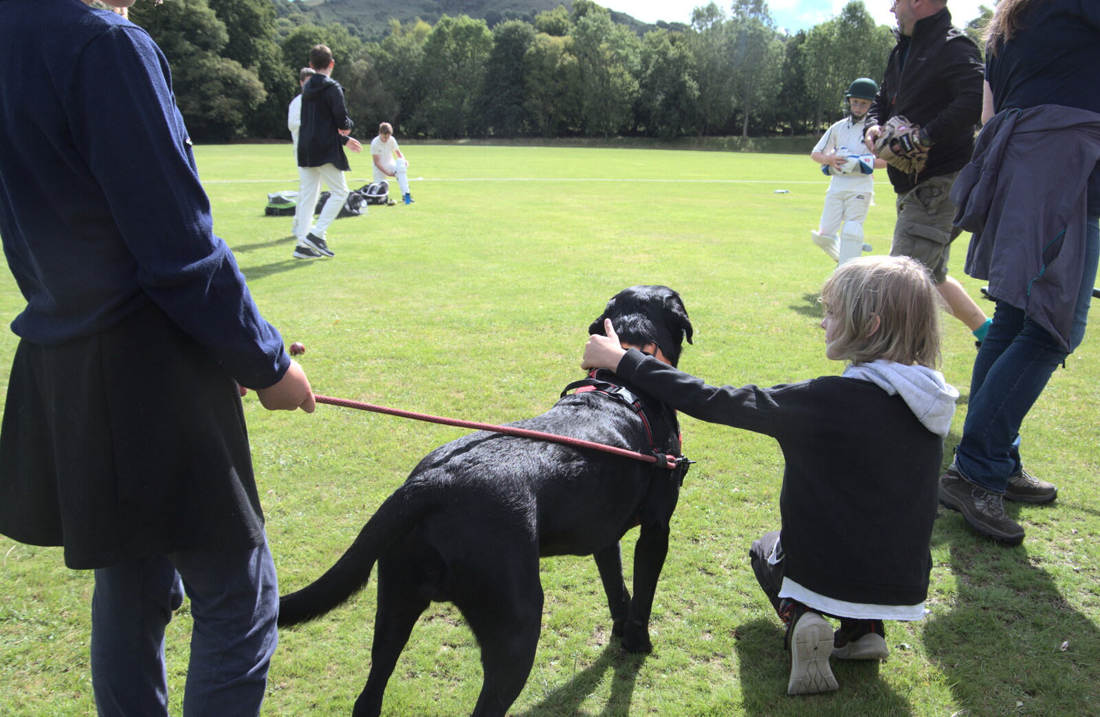 Harry says hello to Doug the Dog from A Game of Cricket, and a Walk Around Chagford, Devon - 23rd August 2020