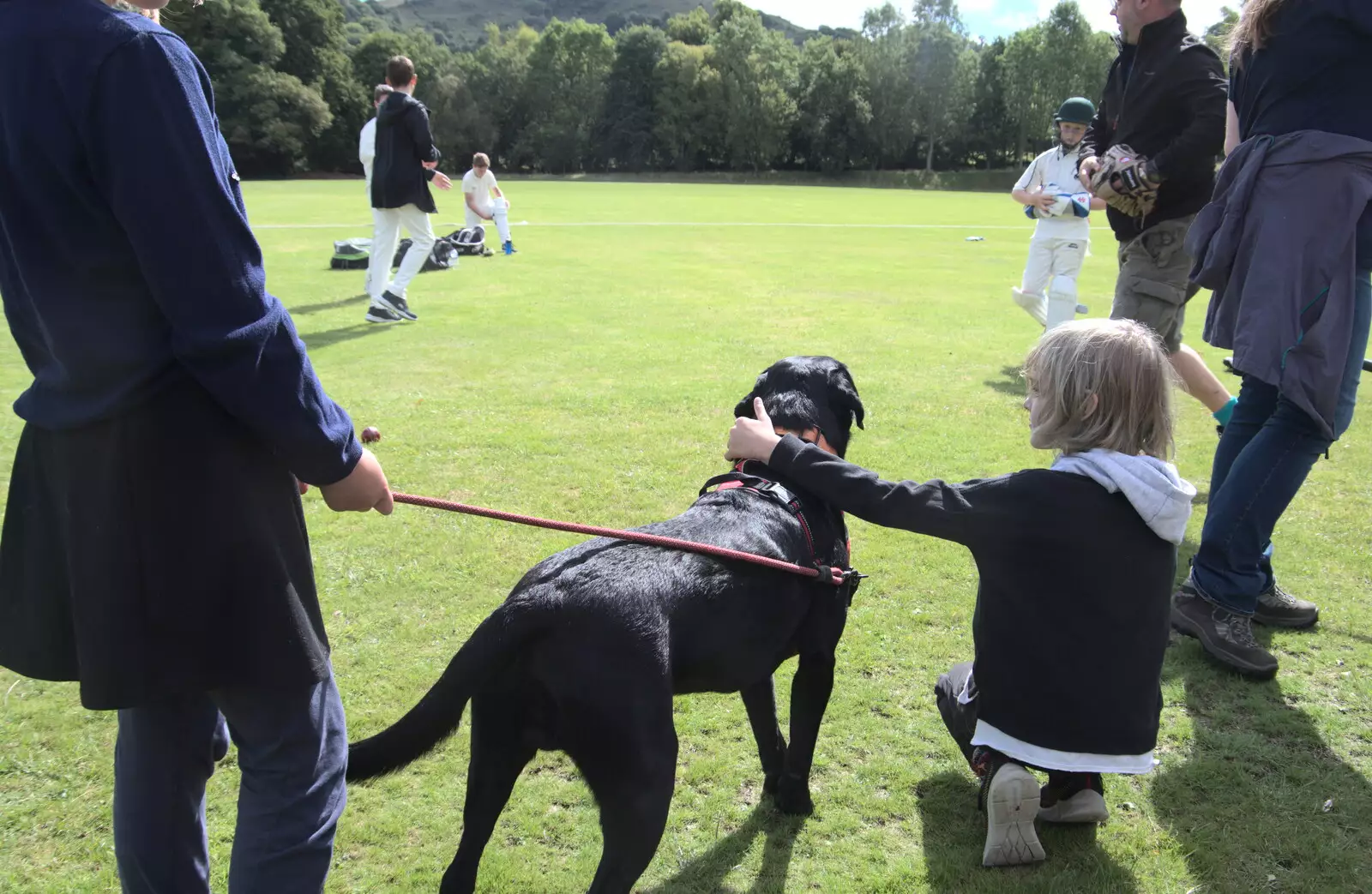 Harry says hello to Doug the Dog, from A Game of Cricket, and a Walk Around Chagford, Devon - 23rd August 2020