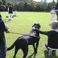 Harry says hello to Doug the Dog, A Game of Cricket, and a Walk Around Chagford, Devon - 23rd August 2020