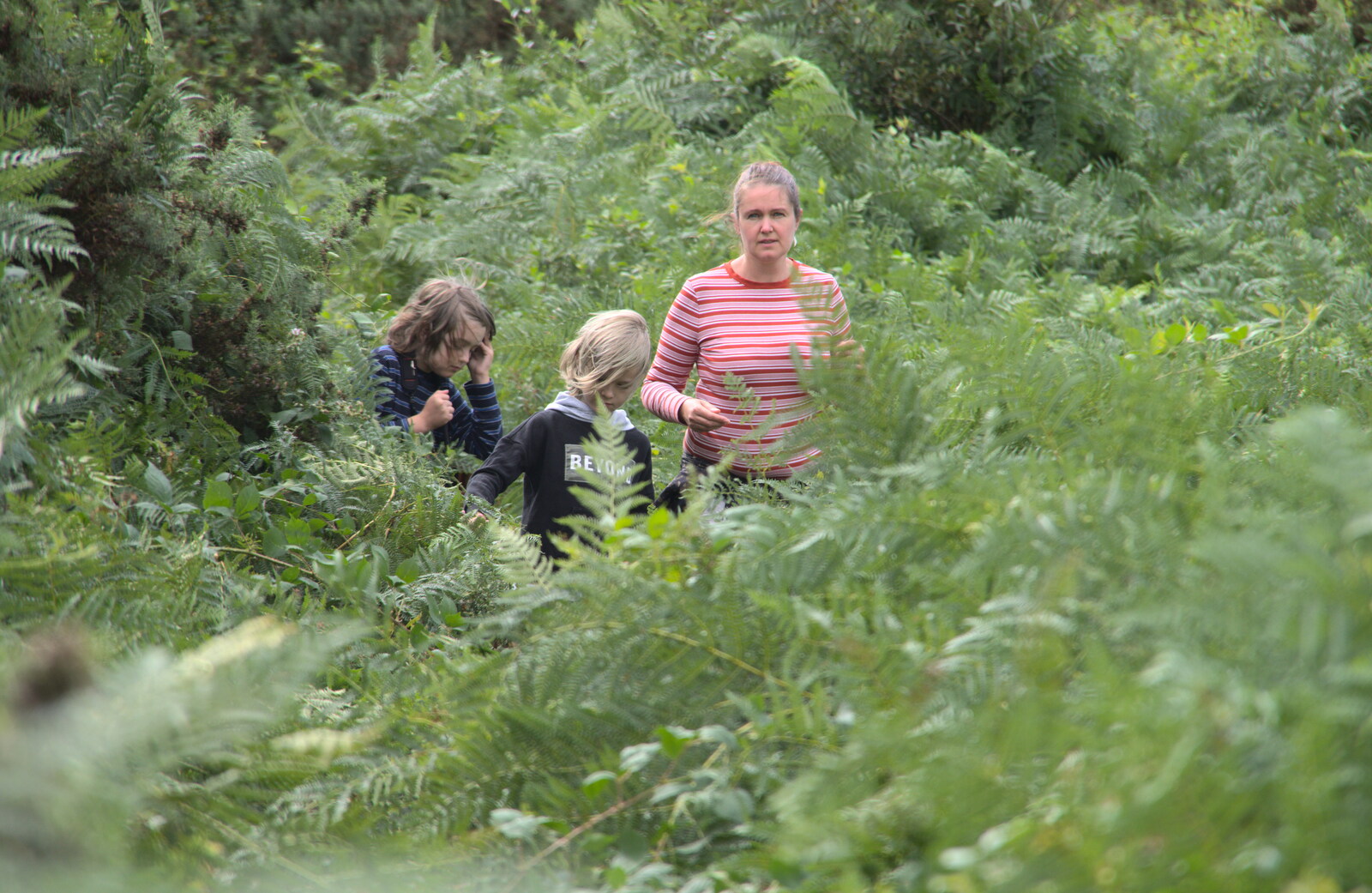 The gang in the bracken from A Game of Cricket, and a Walk Around Chagford, Devon - 23rd August 2020