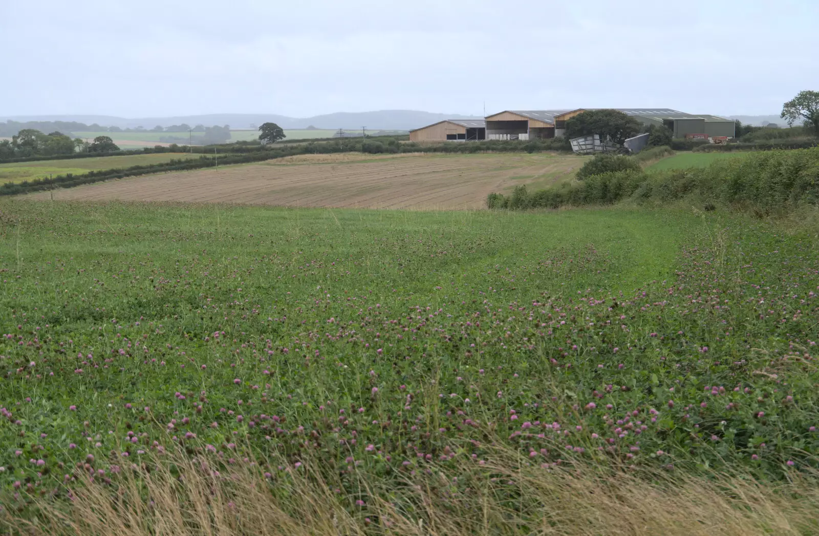 A Spreyton farm, from A Game of Cricket, and a Walk Around Chagford, Devon - 23rd August 2020