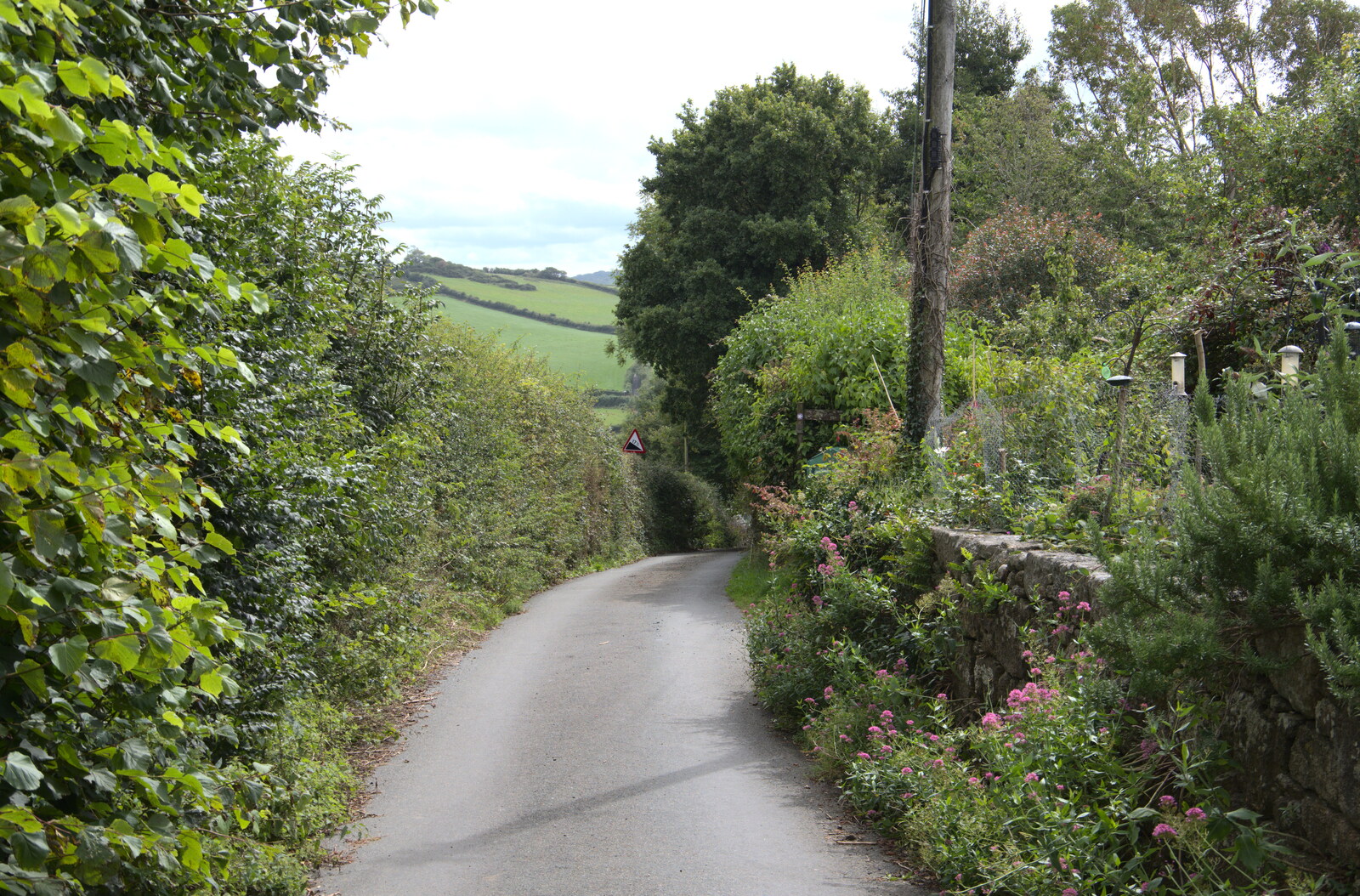 The lane near Sis's pad is fully in leaf from A Walk up Hound Tor, Dartmoor, Devon - 24th August 2020
