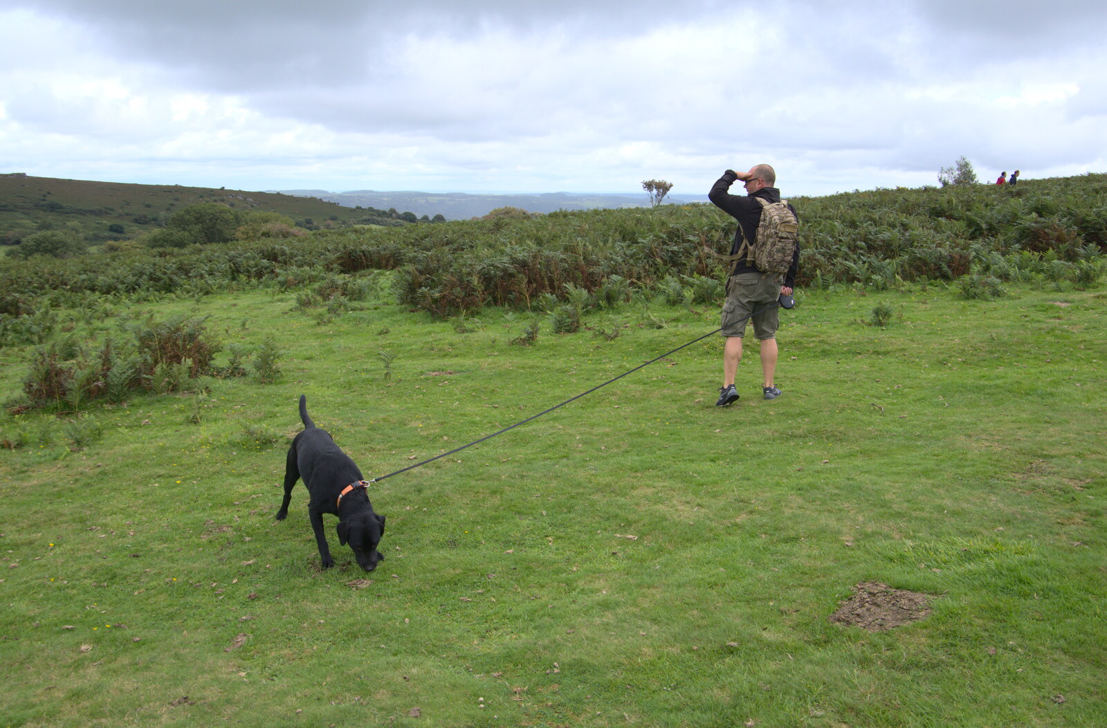 Doug's on a long lead from A Walk up Hound Tor, Dartmoor, Devon - 24th August 2020