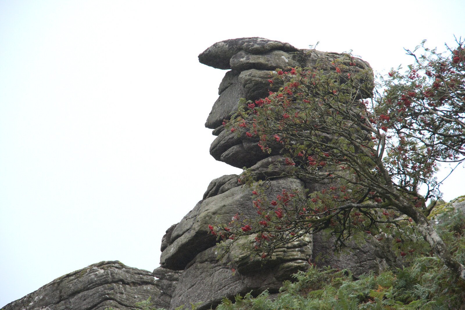 This pile of rocks looks a lot like Donald Trump from A Walk up Hound Tor, Dartmoor, Devon - 24th August 2020