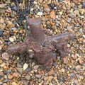 A lump of rusty iron, A Trip to Orford, Suffolk - 29th August 2020
