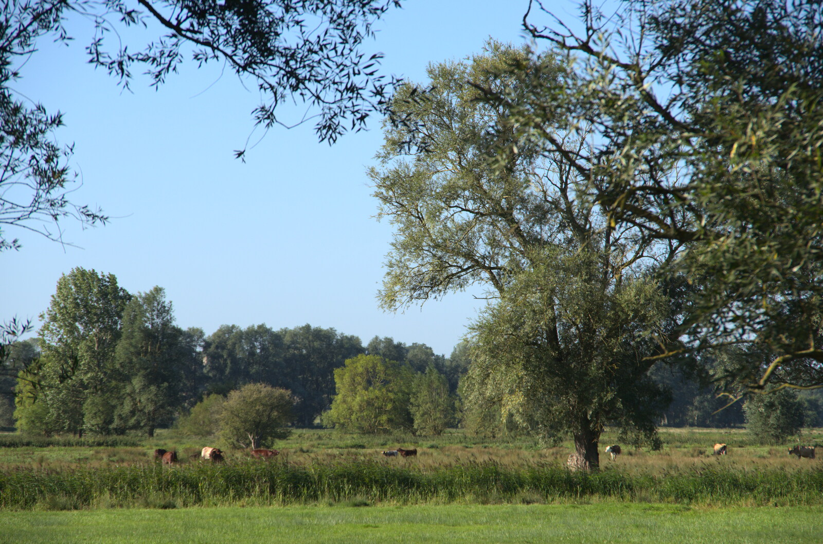 An idyllic view of the watermeadows from Camping at Three Rivers, Geldeston, Norfolk - 5th September 2020