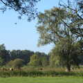 An idyllic view of the watermeadows, Camping at Three Rivers, Geldeston, Norfolk - 5th September 2020