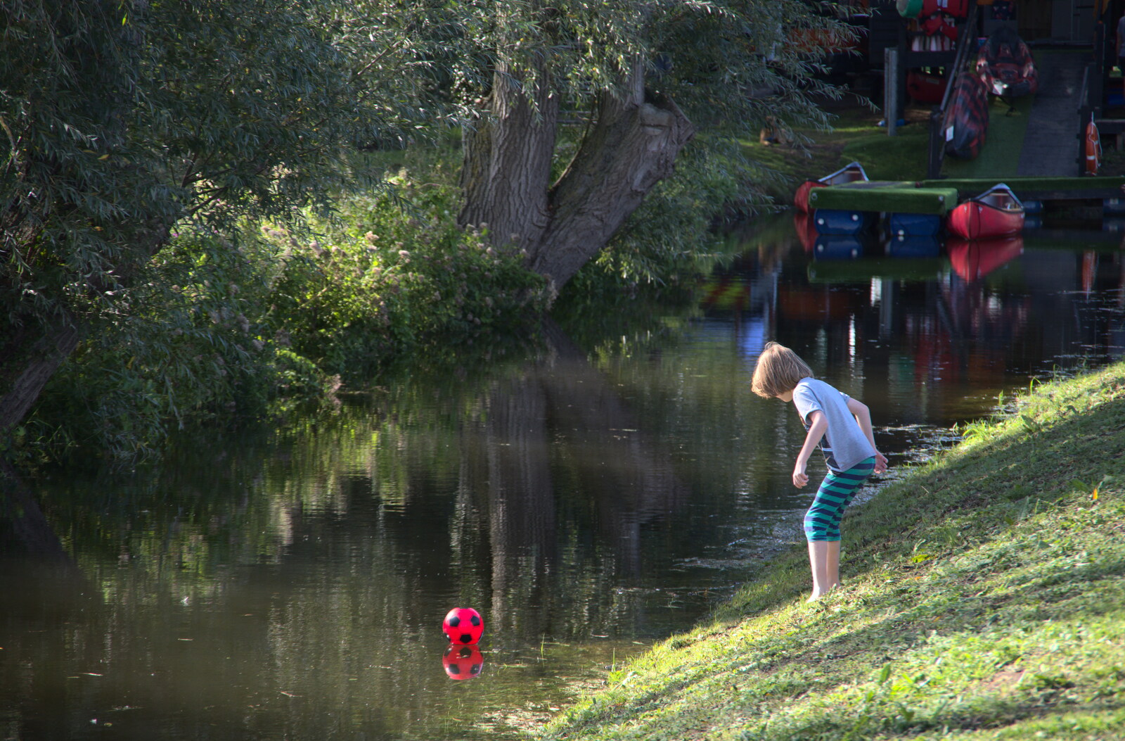 Camping at Three Rivers, Geldeston, Norfolk - 5th September 2020: Benson loses his ball in the river