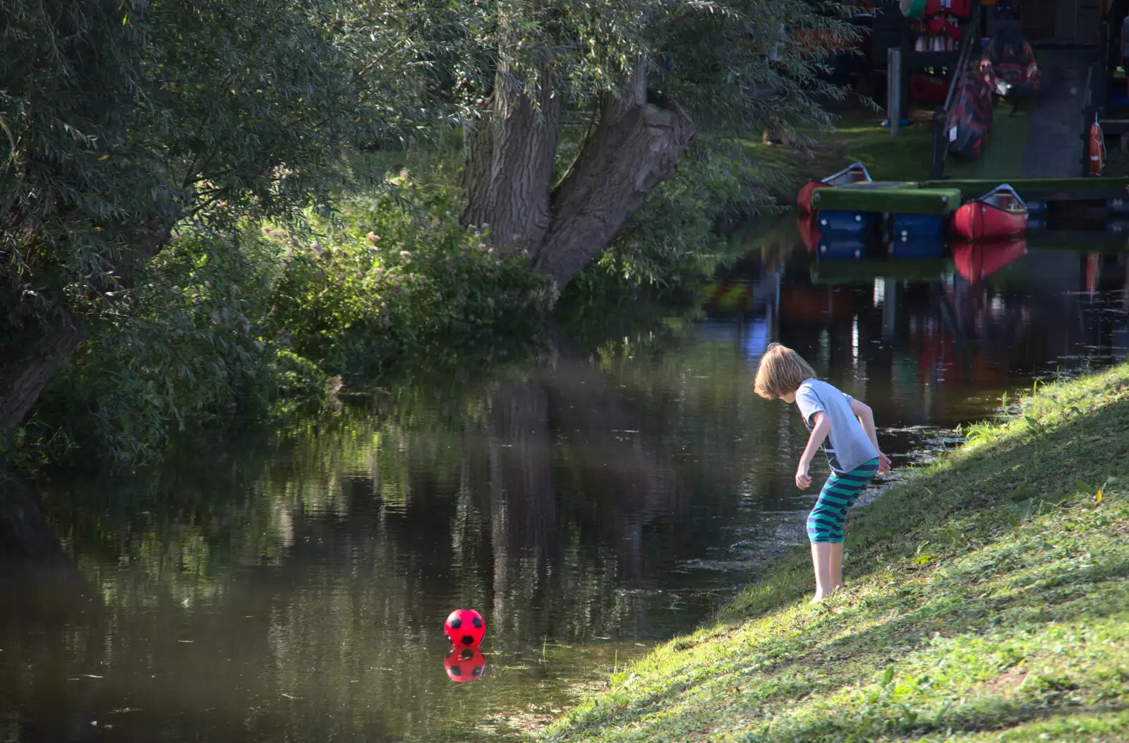 Benson loses his ball in the river, from Camping at Three Rivers, Geldeston, Norfolk - 5th September 2020